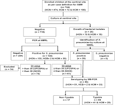 Flowchart Of Sample Collection And Testing The Flow Chart