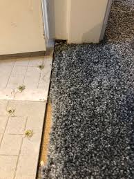 threshold tile carpet tiling advice