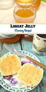 make loquat jelly canning recipe