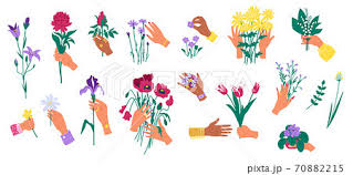 hands holding flowers isolated on white