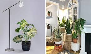 The Best Grow Lights For Indoor Plants