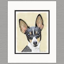 toy fox terrier dog original art print