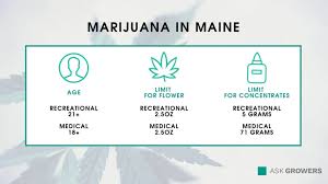 However, a second opinion from another certified physician is required for approval. Maine Marijuana Laws 2021 All About Recreational Medical Weed In The State Askgrowers