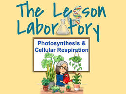 Double Lesson Photosynthesis And