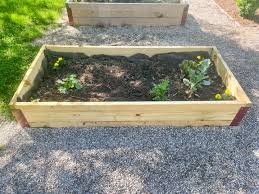 Build A Simple Raised Garden Box Diy