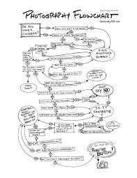 Humorous Photography Flowchart Helps You Decide Whether Or