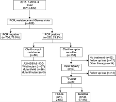 Flow Chart Of Patients In This Study Egd