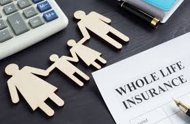 Insurance bureau of canada is the national industry association representing canada's private home, car and business insurers. Why Should You Go For A Whole Life Insurance Plan In Toronto Canada The 4 Major Benefits