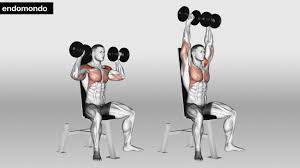 7 best dumbbell shoulder exercises to
