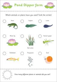 Early Learning Resources Pond Life Check List Spotter Sheet