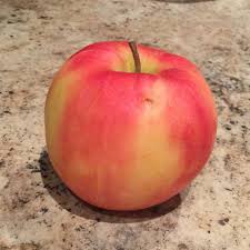 calories in honeycrisp apple 1 large