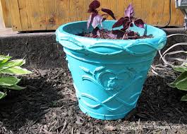 Check spelling or type a new query. 5 Gallon Bucket Planter Practical Whimsy Designs