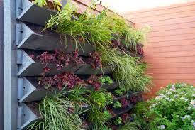 21 vertical garden ideas for those