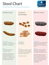 Is My Poo Normal Stool Reveals All About Your Health