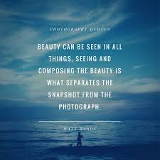 What are some photography quotes you should live by? Photography Quotes About Beauty 12 Quotes Inspire Photography Journey Dogtrainingobedienceschool Com
