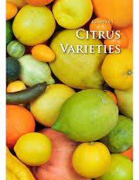 Commonsense Citrus
