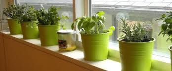 A great herb garden idea for small yards is to build an herb spiral. 33 Best Herb Garden Ideas How To Start A Herb Garden