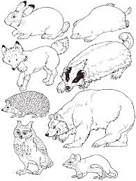 This superb teenagers colorable page is the description of a perfect lone time that every teenager dreams of. Put The Animals In The Mitten The Mitten Coloring Page Coloring Home