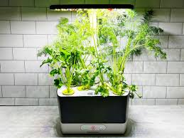 aerogarden review is ing the