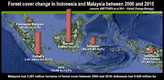 Chart Forest Loss In Indonesia And Malaysia