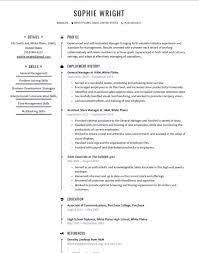 professional resume templates word