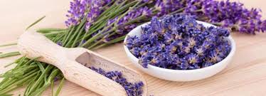 Maybe you would like to learn more about one of these? Benefits Of Lavender And Its Side Effects Lybrate