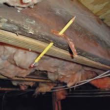 repair wood damage in ontario repair