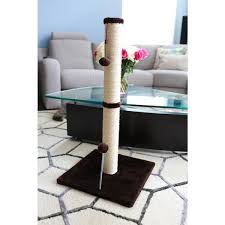 catcraft 36 in sisal scratching post