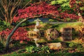 gibbs gardens anese garden