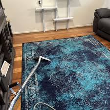top 10 best carpet cleaning in sunshine