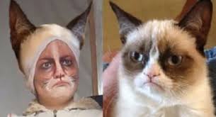 cat meme makeup tutorials grumpy cat