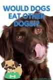 do-dogs-eat-dogs