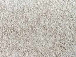 remove rust stains from carpet