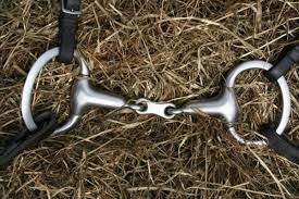 Types Of Horse Bits Expert Advice On Horse Care And Horse
