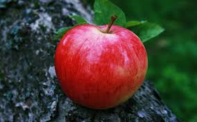 fireside apple fruit color and flavor