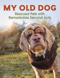 Advancing age or poor conformation, such as the little dog with kneecaps that slip in and out of place or the basset hound whose front feet twist outwards, are reasons to think ahead. Rescued Pets With Second Acts An Inspiring Reason To Adopt Older Animals