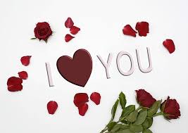 hd wallpaper red rose with i love you