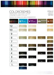 Logics Hair Color Chart Sbiroregon Org