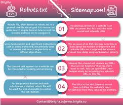 robots txt sitemap xml