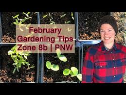 February Gardening Tips Tasks And Seeds