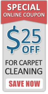 carpet stains cleaners