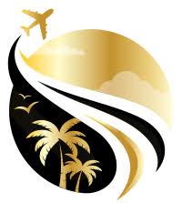 modern airplane logo template