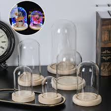 large clear glass dome cloche bell jars
