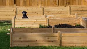 how to build cedar raised beds from