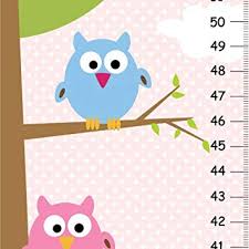 Amazon Com Personalized Pink Owls Growth Chart For Girls