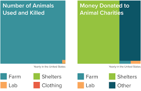 What Animal Charity Helps The Most Animals Steemit
