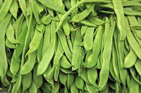 beans from green to purple to varieties