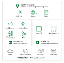 introducing the nginx application platform