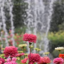silverton oregon botanical gardens