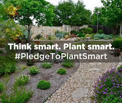 Think Smart Plant Smart North Texas